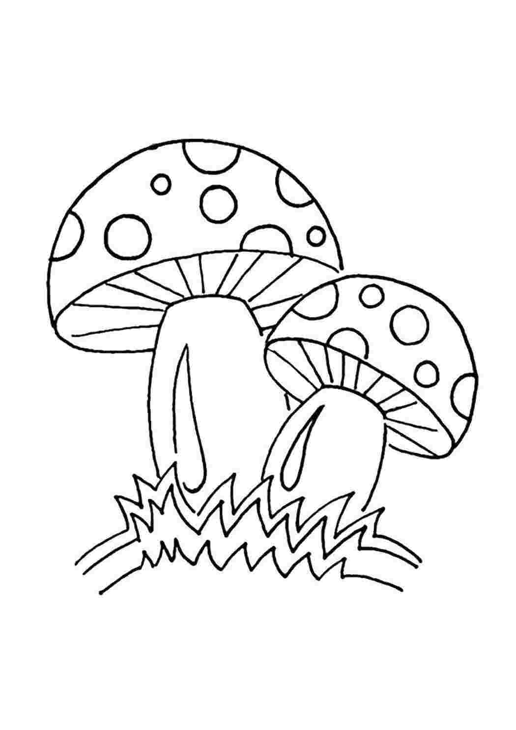 Раскраска Опасные грибы