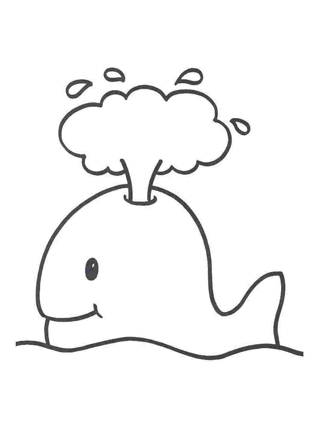 Раскраска кит