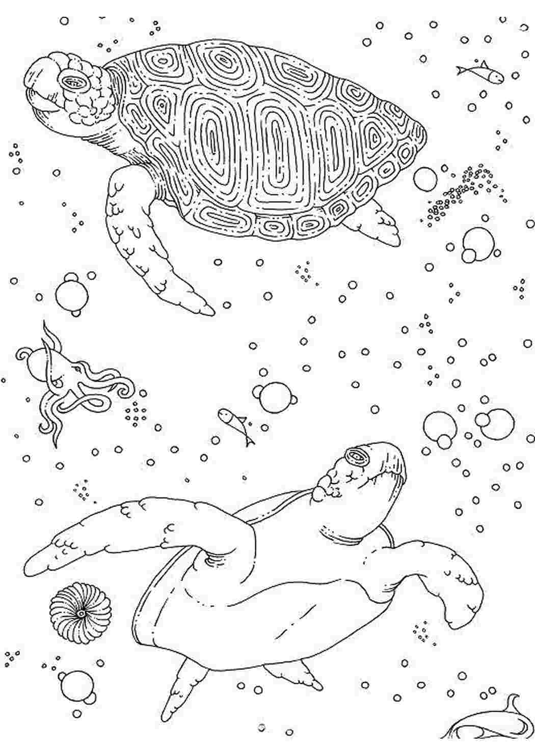 Раскраска моретерапия