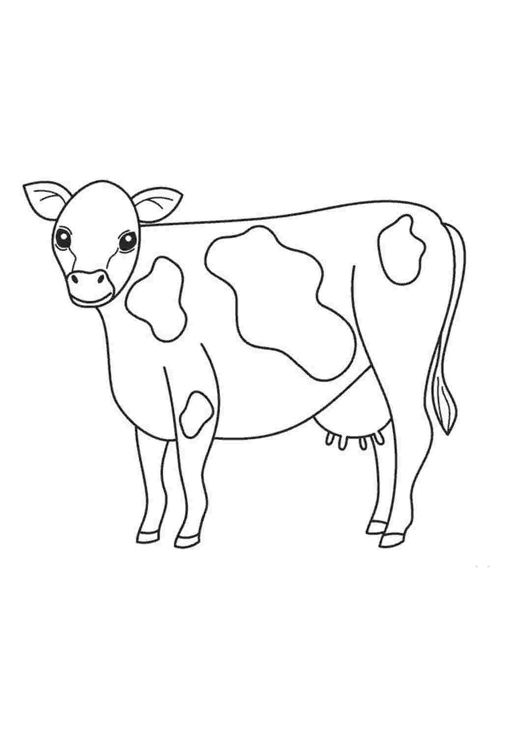 Раскраски корова лёгкие