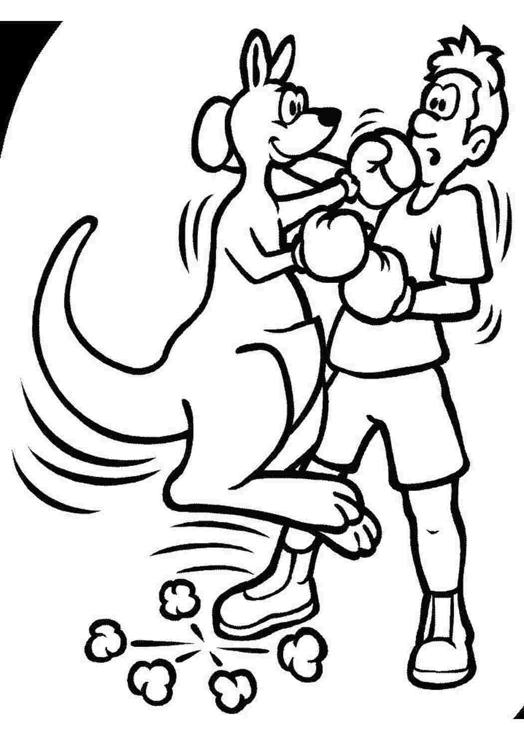 Раскраска Раскраска- Кенгуру-боксер