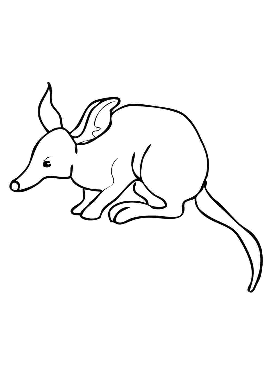 Раскраска грызун