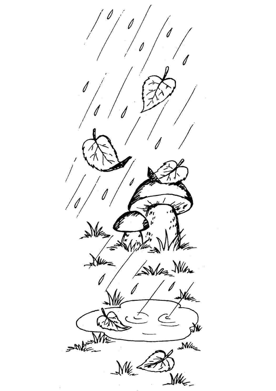 Раскраска Раскраска. Осень