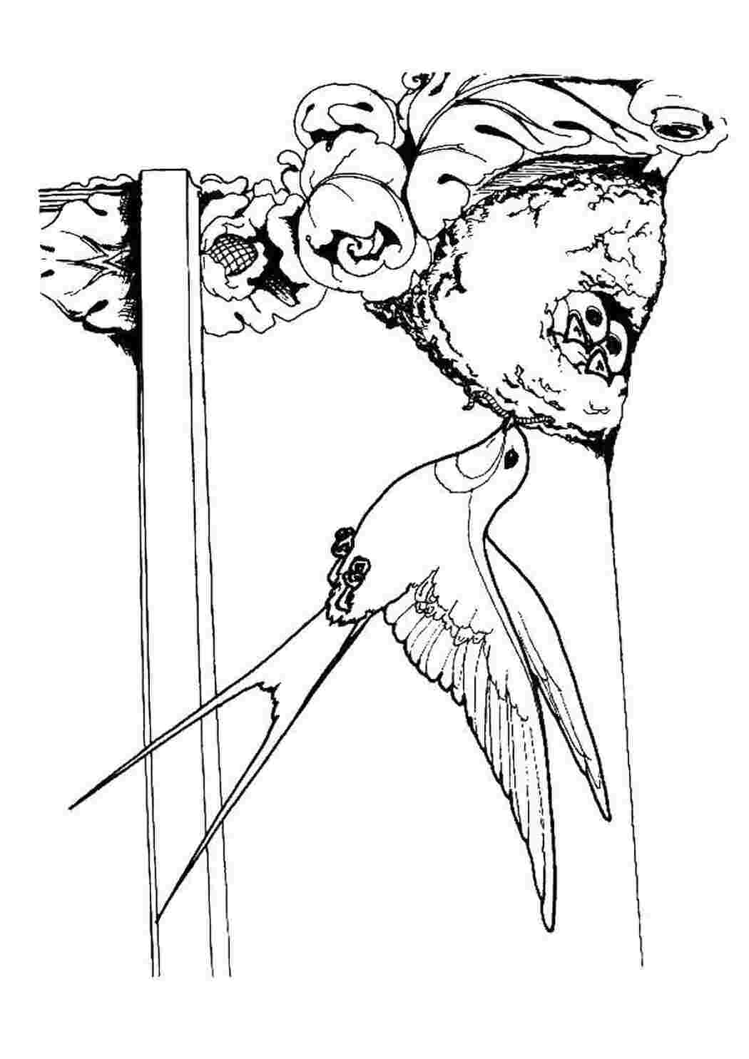 Раскраска ласточка с письмом в клюве. Ласточка раскраска. Гнездо ласточки раскраска для детей. Гнездо ласточки раскраска. Раскраска птицы Ласточка.