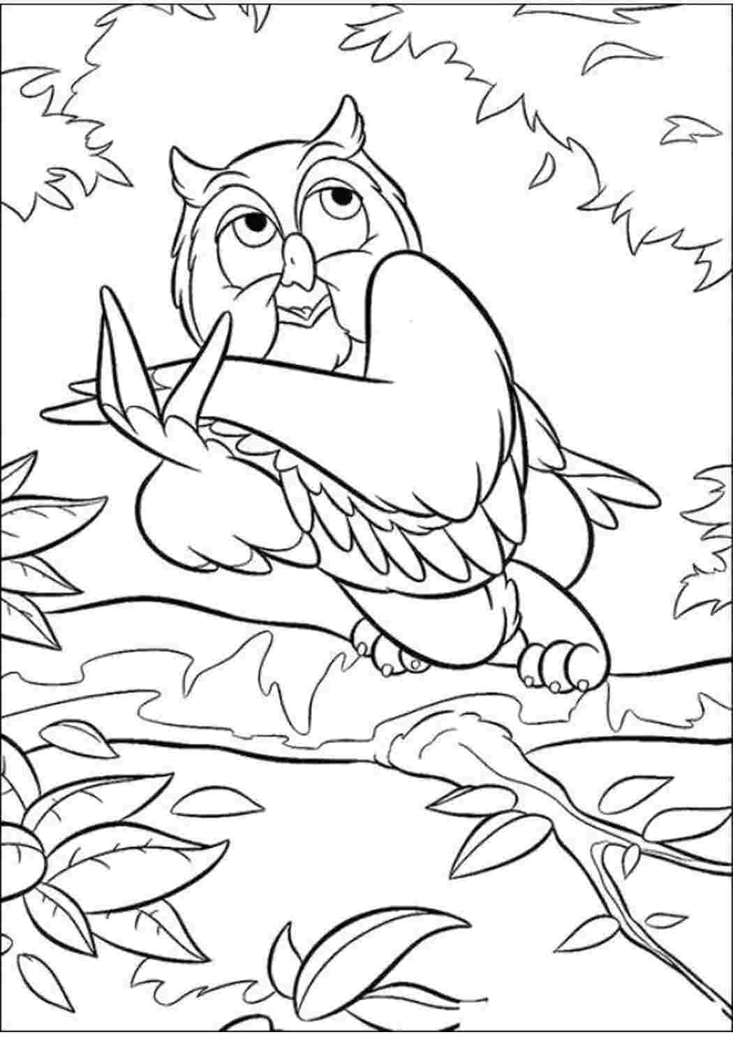 Раскраска Сова