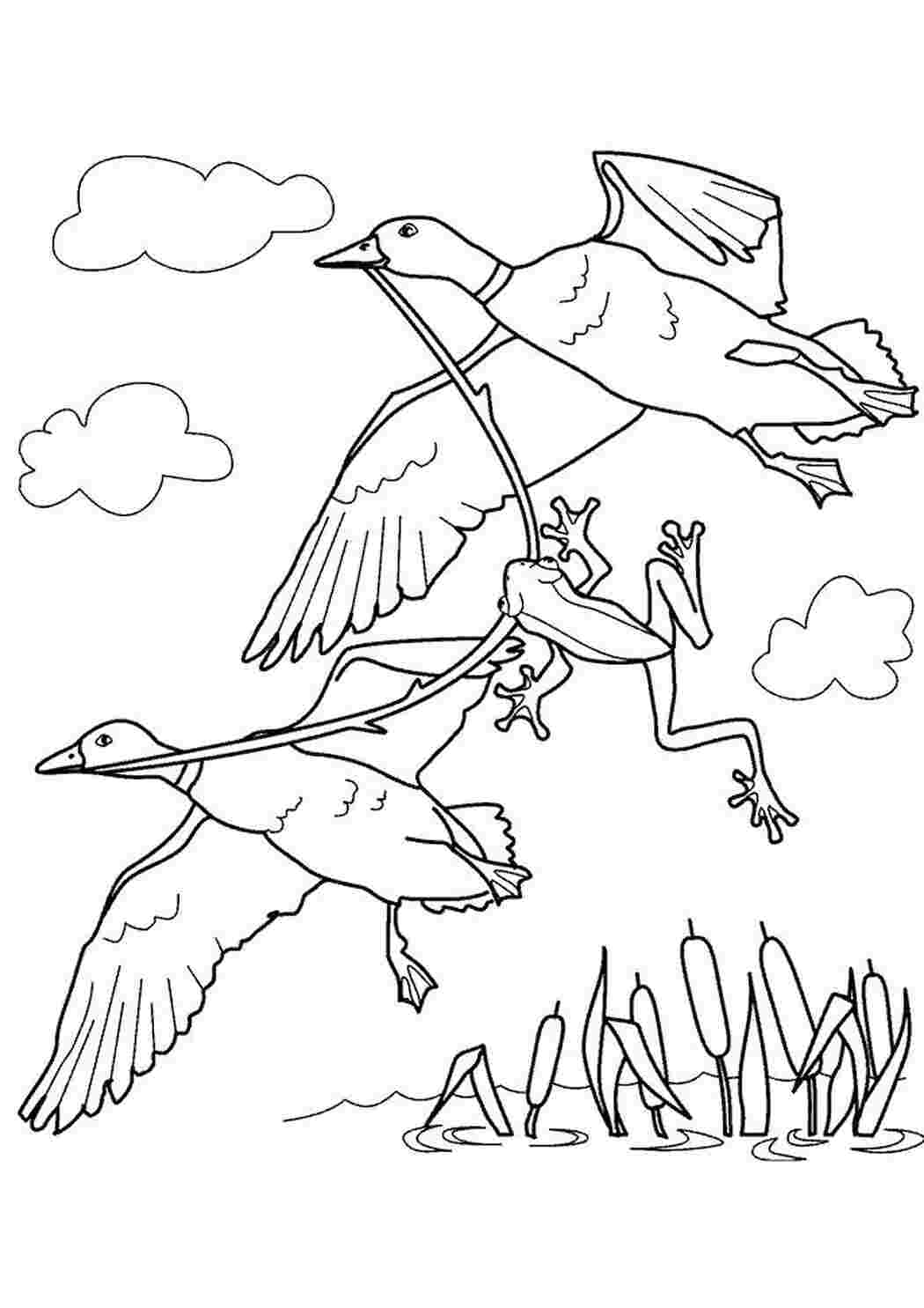 Раскраска lyagushka