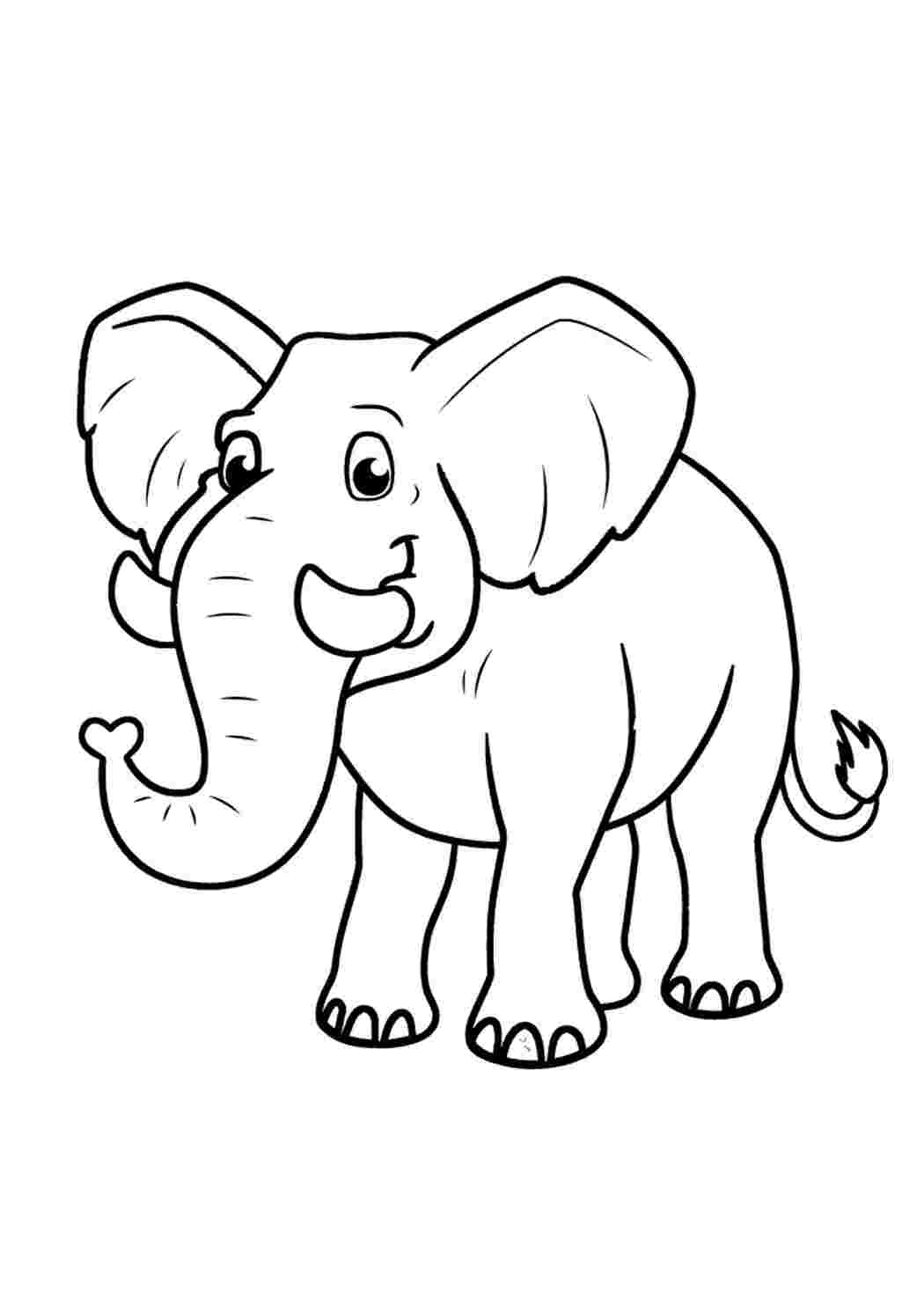Раскраска Слон: распечатать бесплатно, скачать