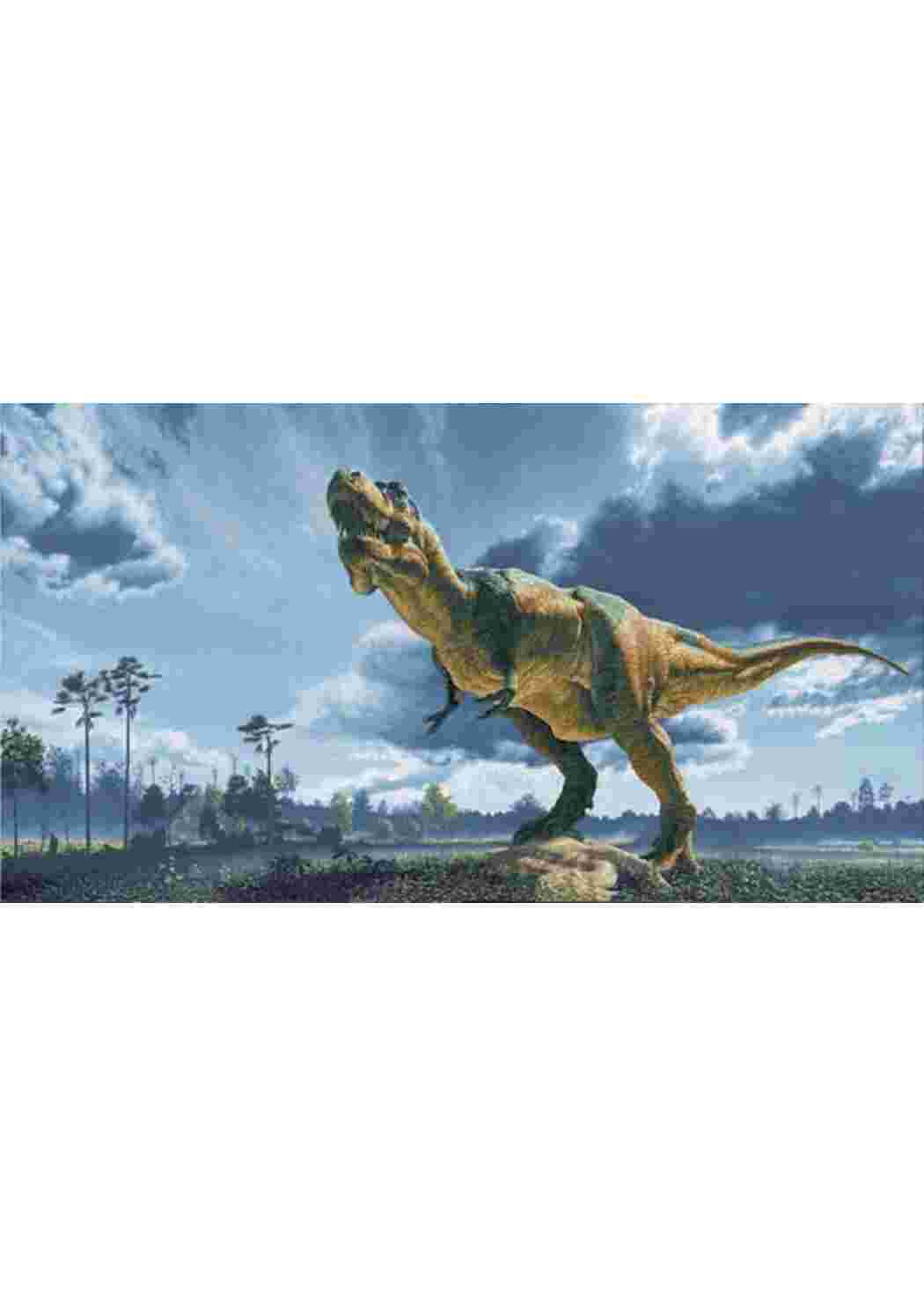 Раскраска динозавры большие разных видов динозавры