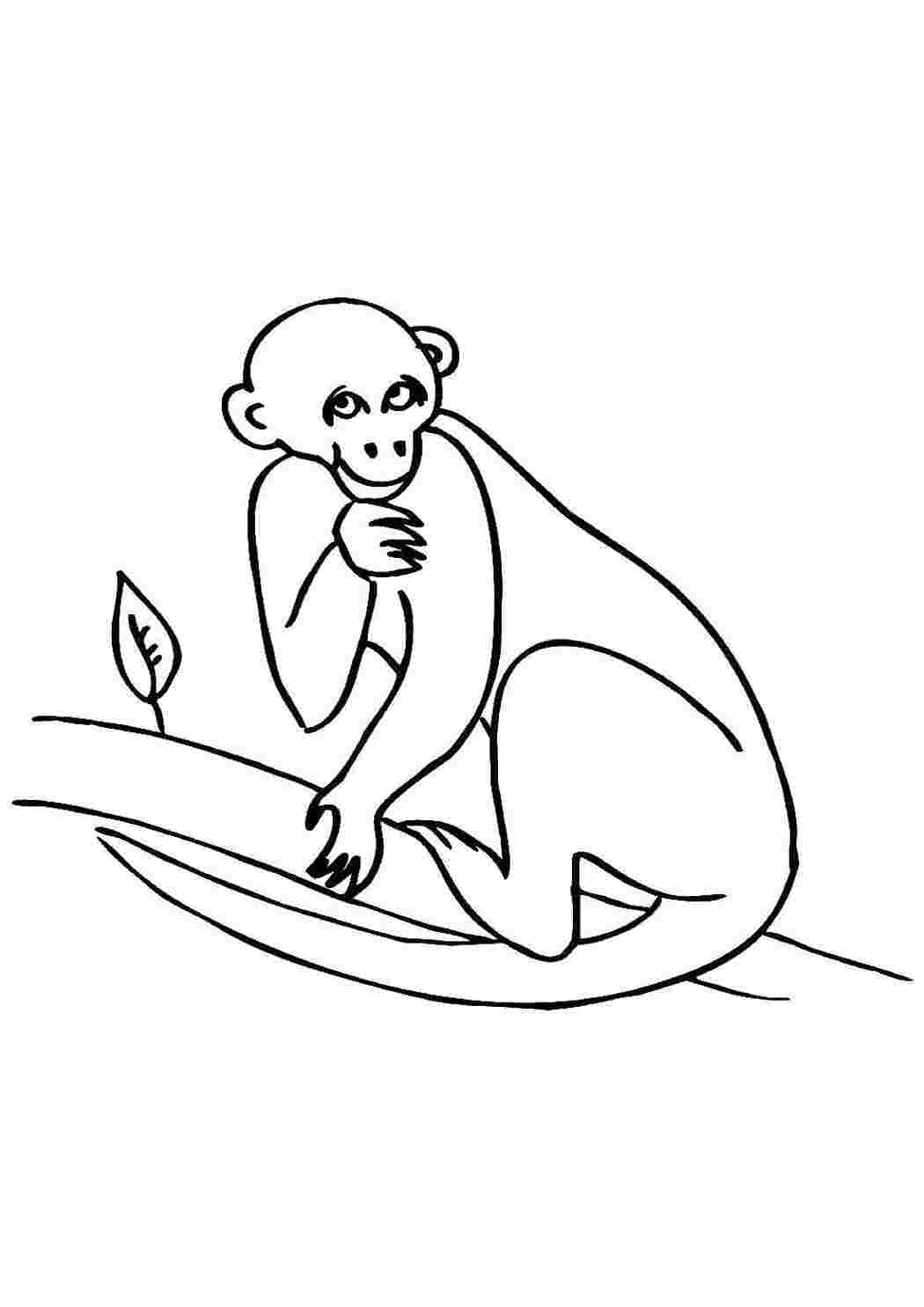 Раскраска Обезьяна