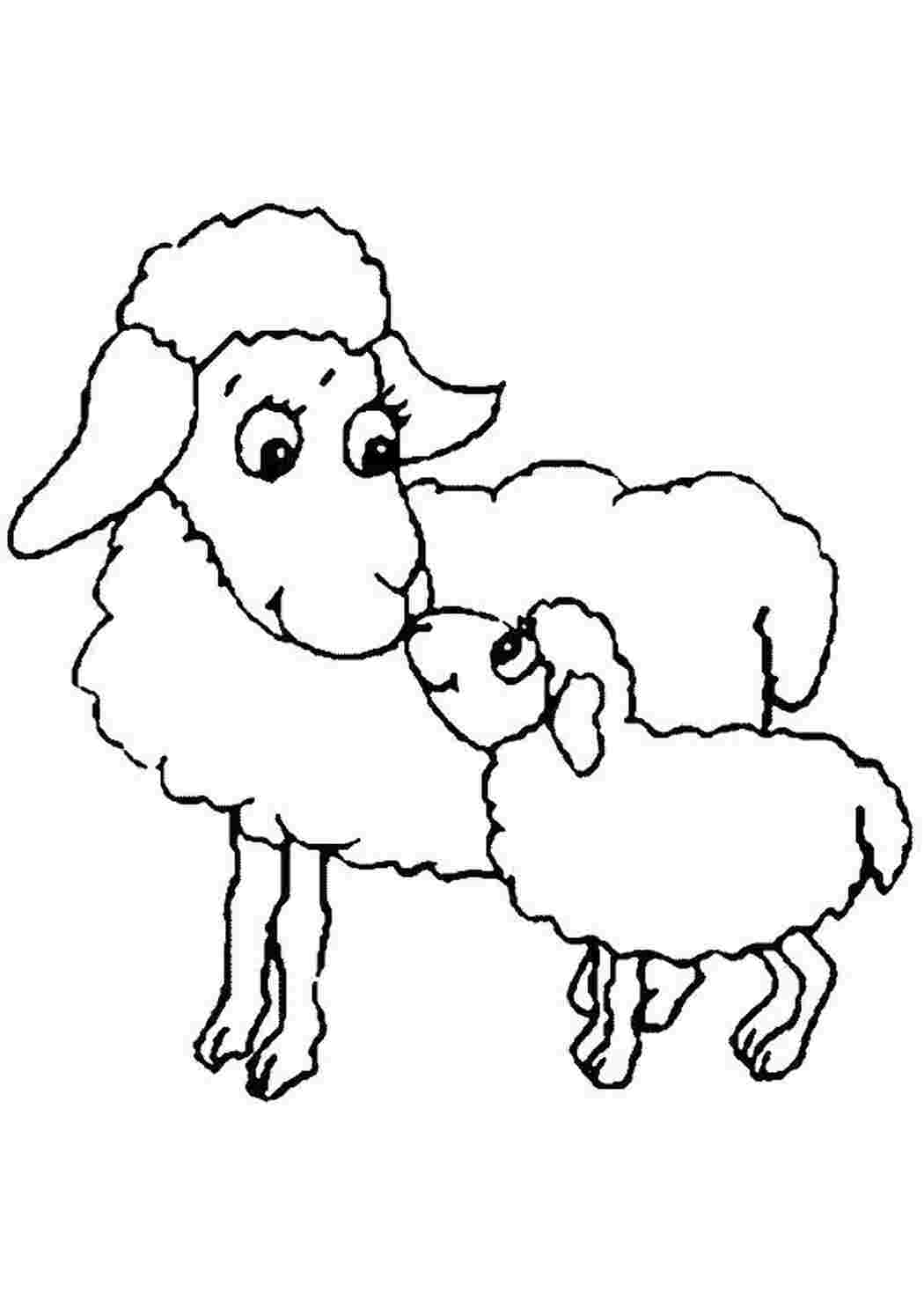 Раскраска Овечки