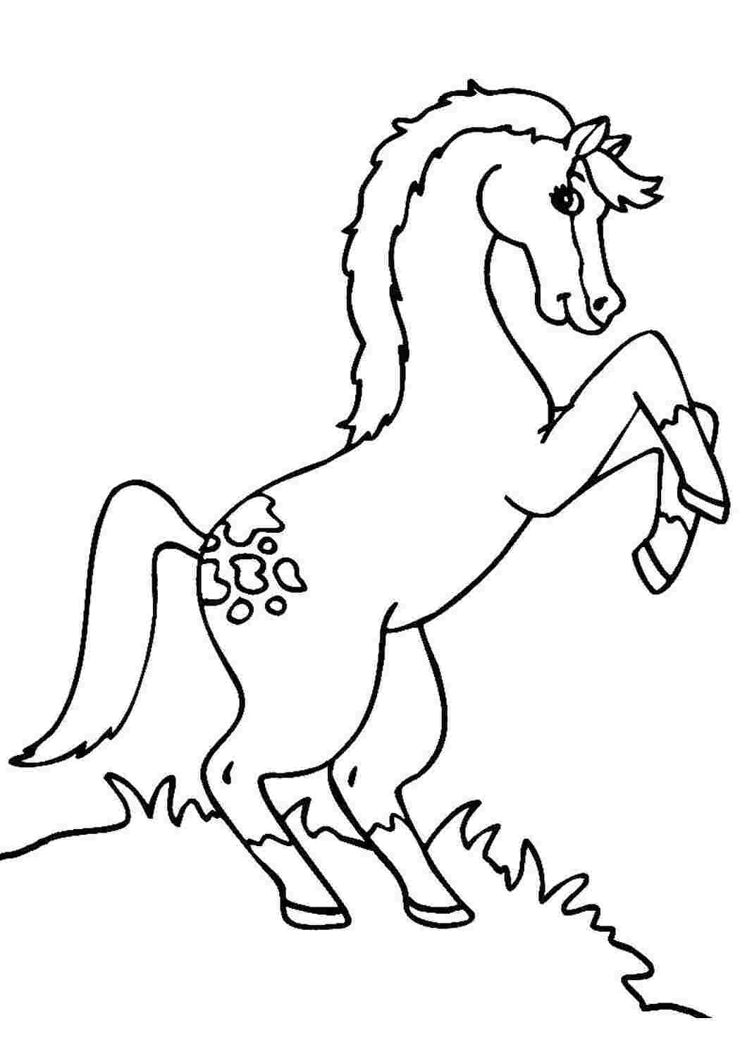 Раскраска Встал На дыбы