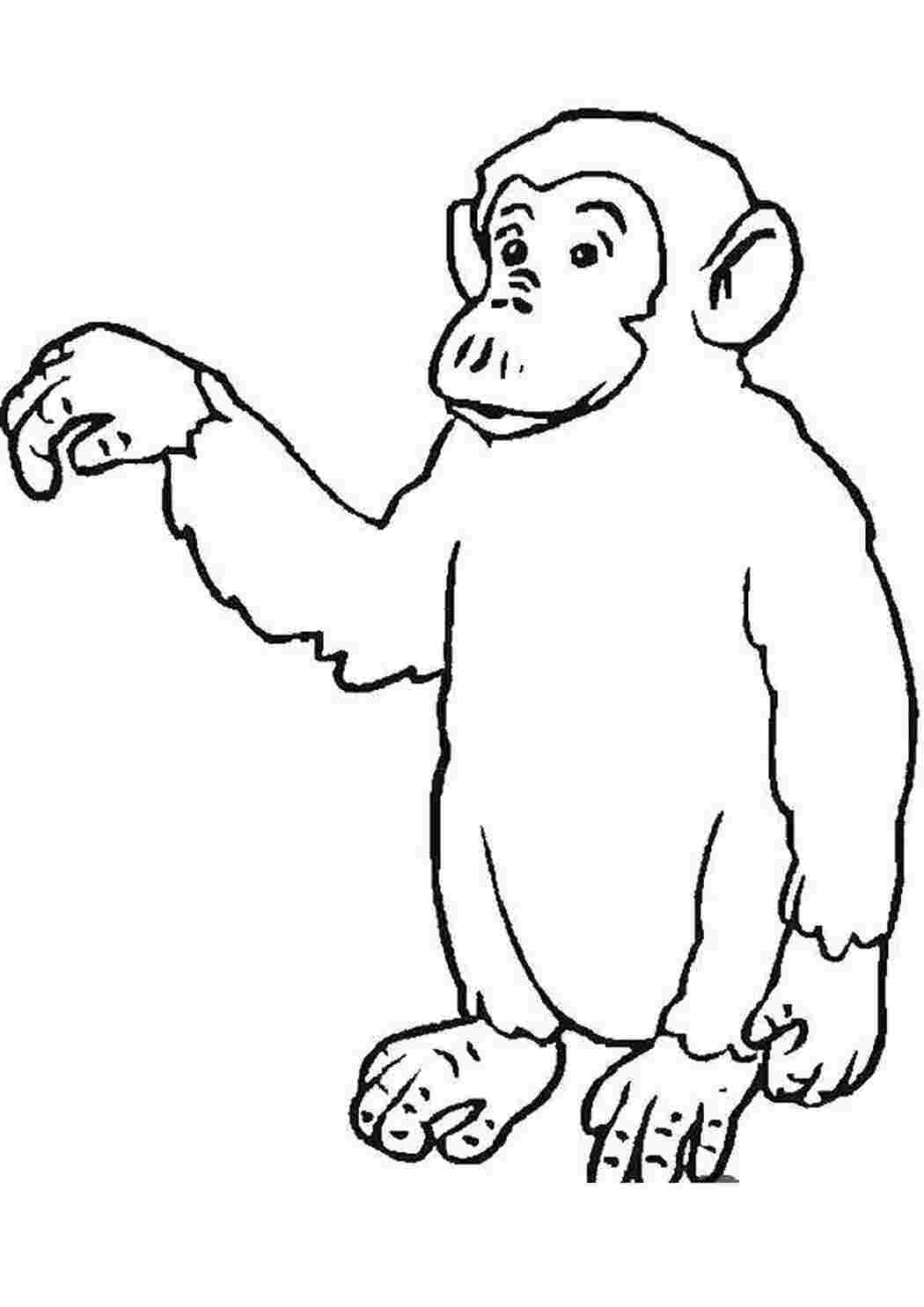 Раскраска Большая обезьяна