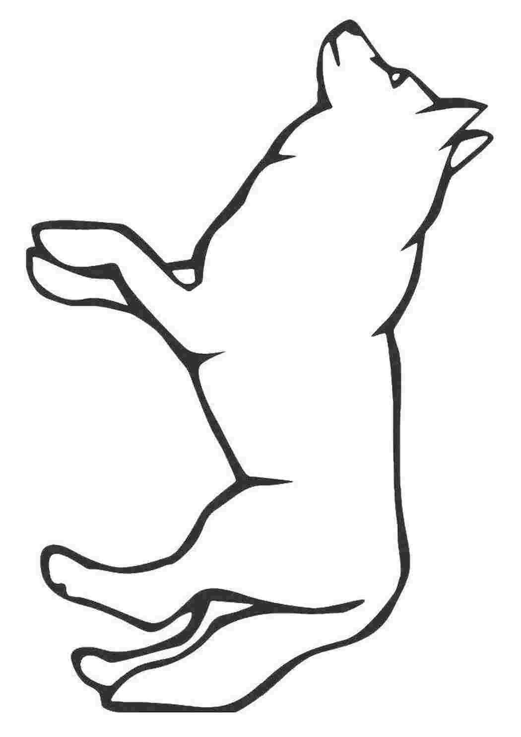 Раскраска Волк