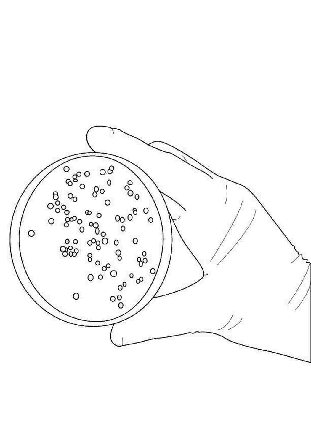 Микробы рисунок карандашом