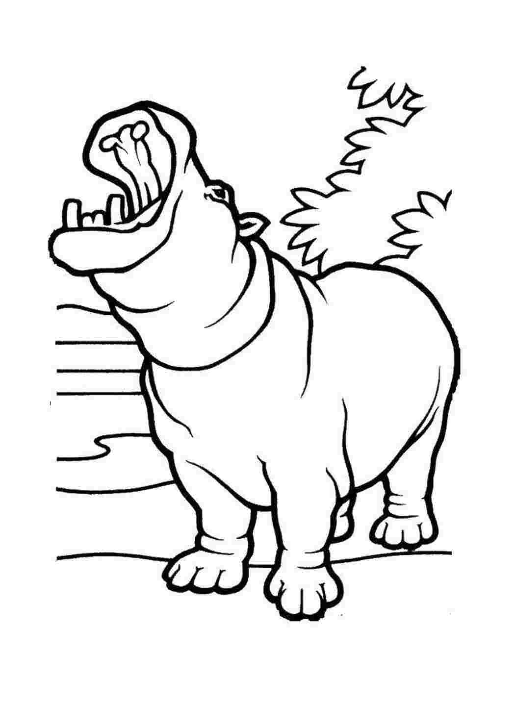 Раскраска Бегемот