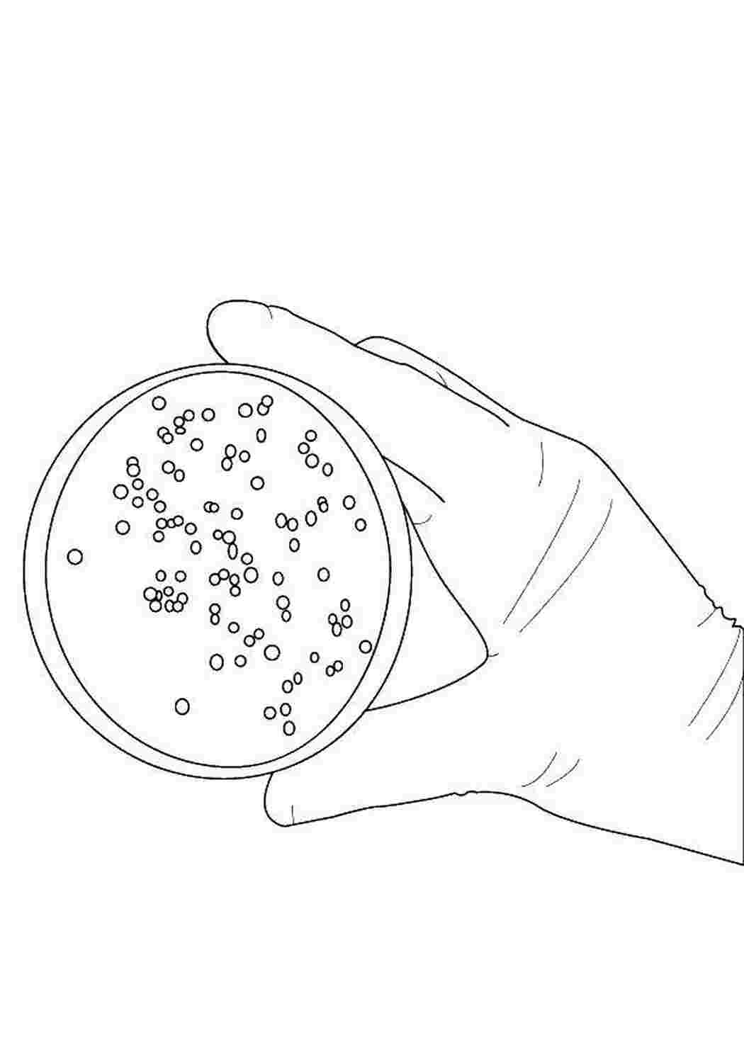 Раскраска микробы и бактерии