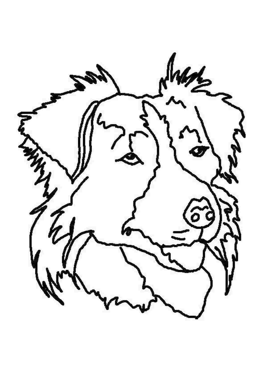 Раскраска Собака