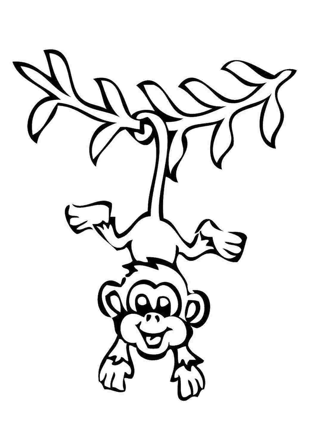 Раскраска Обезьяна на лиане