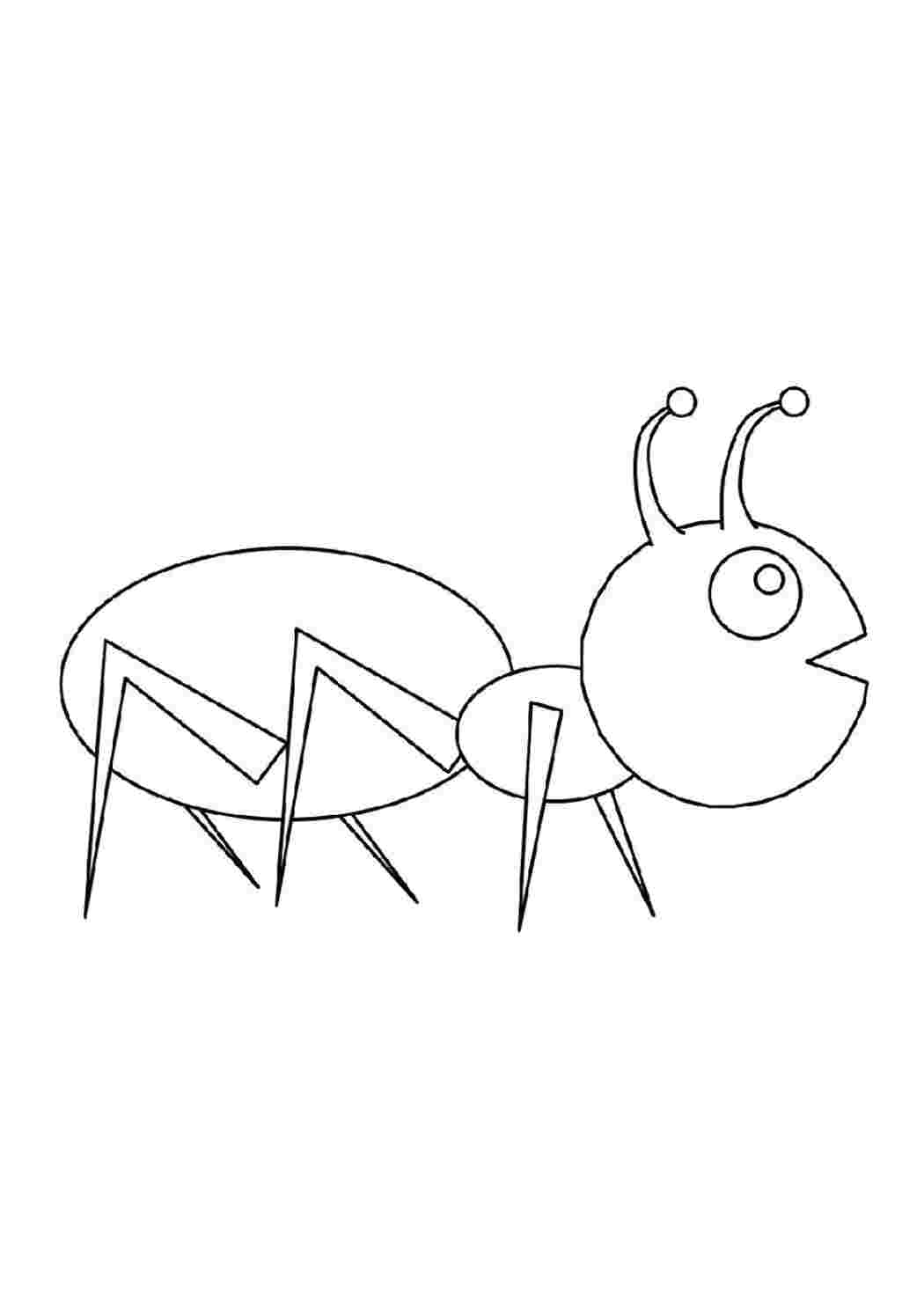 Раскраска Разукрашка Муравей