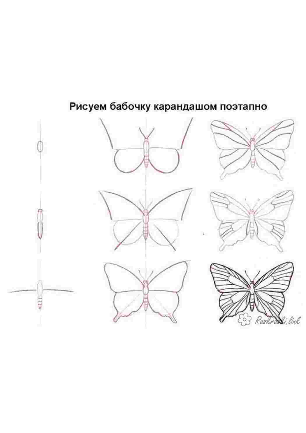 Как рисуется бабочка