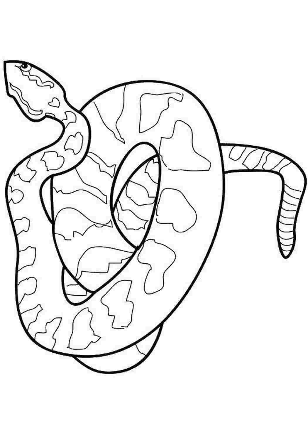 Раскраска Змея