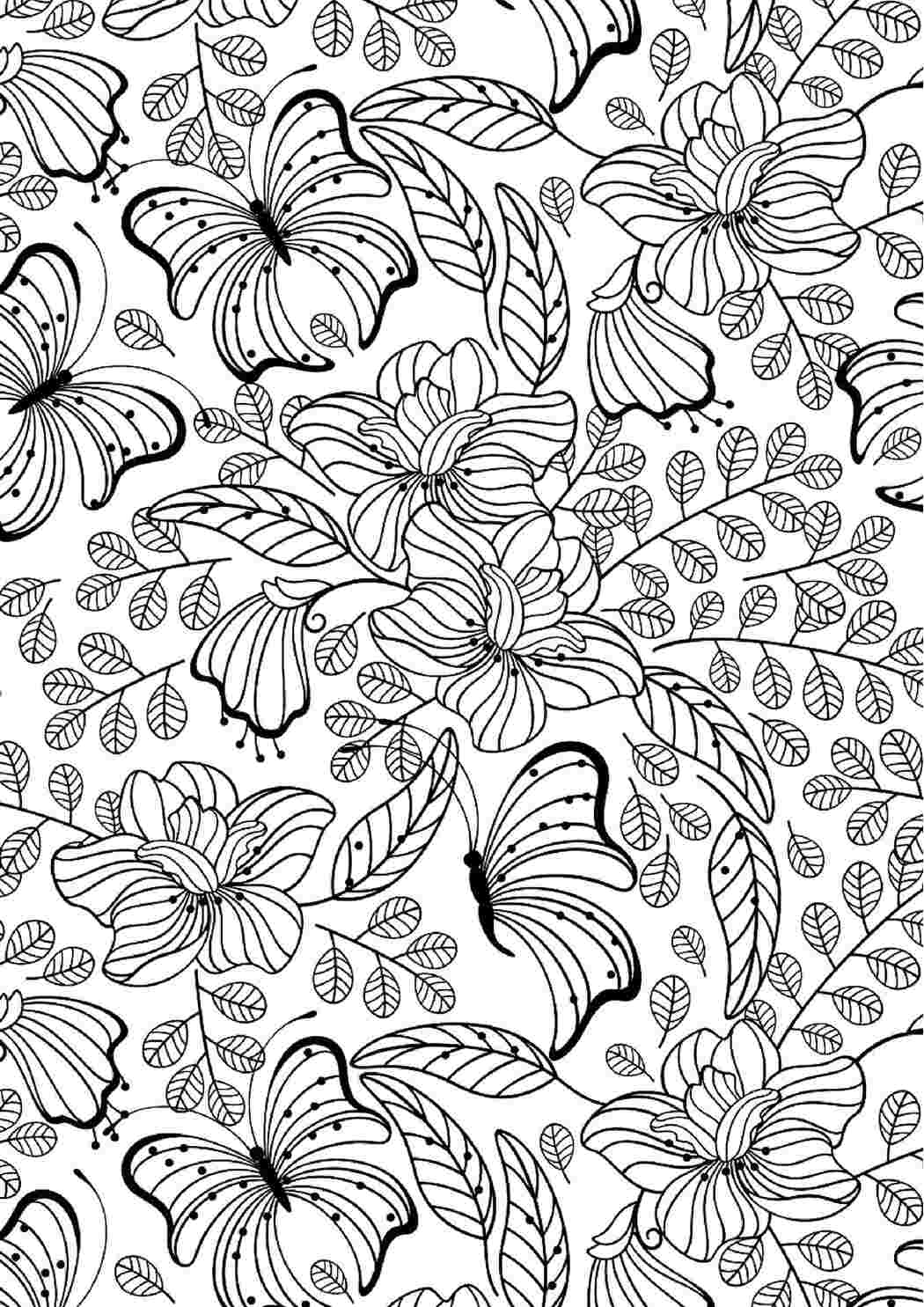 Раскраска бабочки