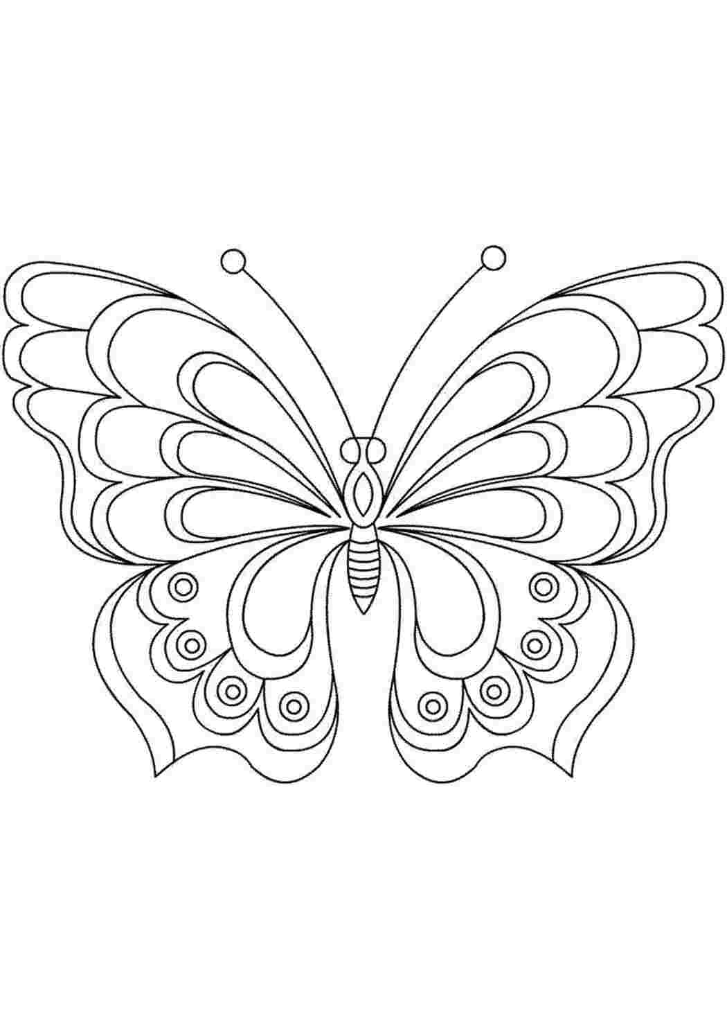 Раскраска Чудесная бабочка