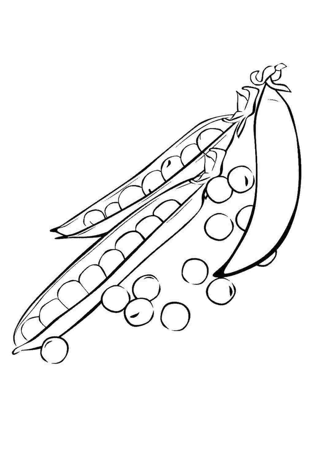 Раскраска Горошенки