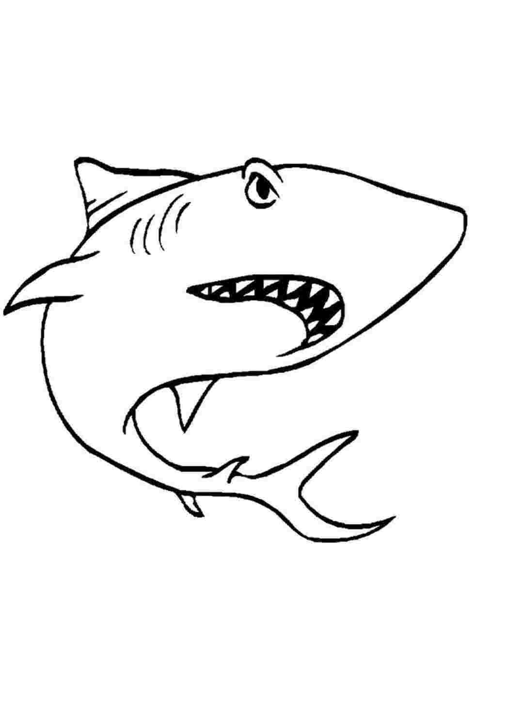 Раскраска Скачать или распечатать раскраску распечатать скачать