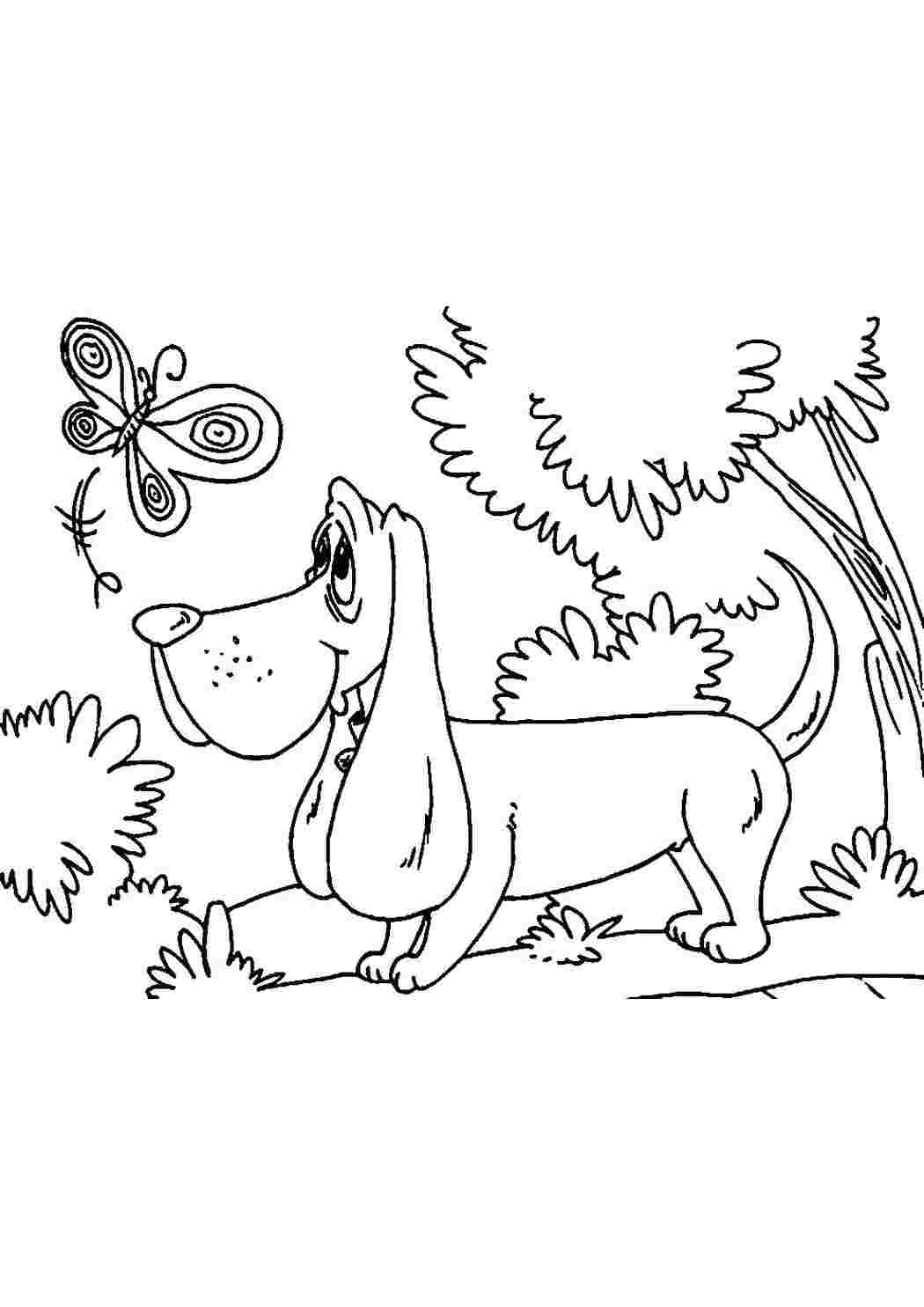 Раскраска Ушастик