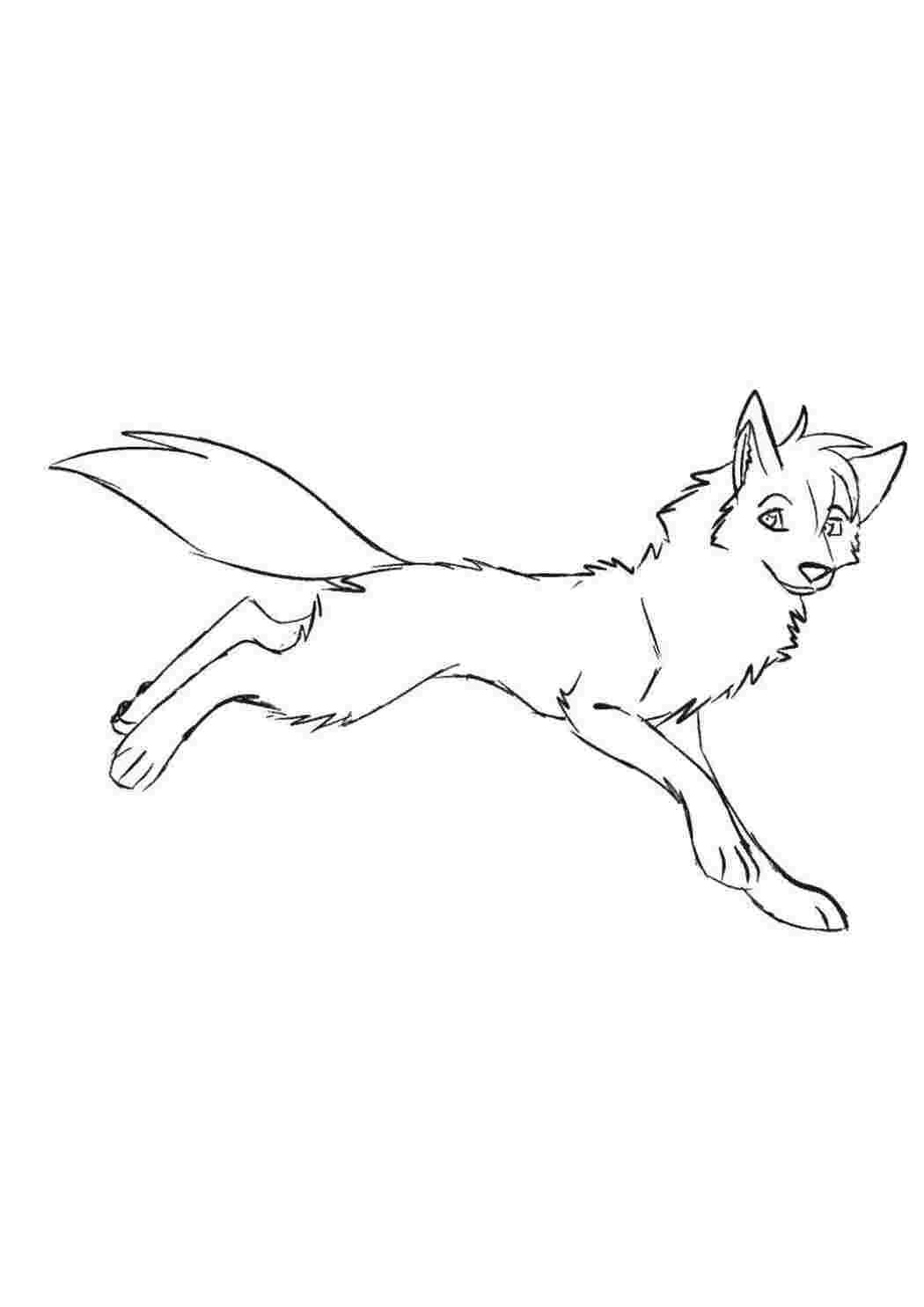 Раскраска Волк