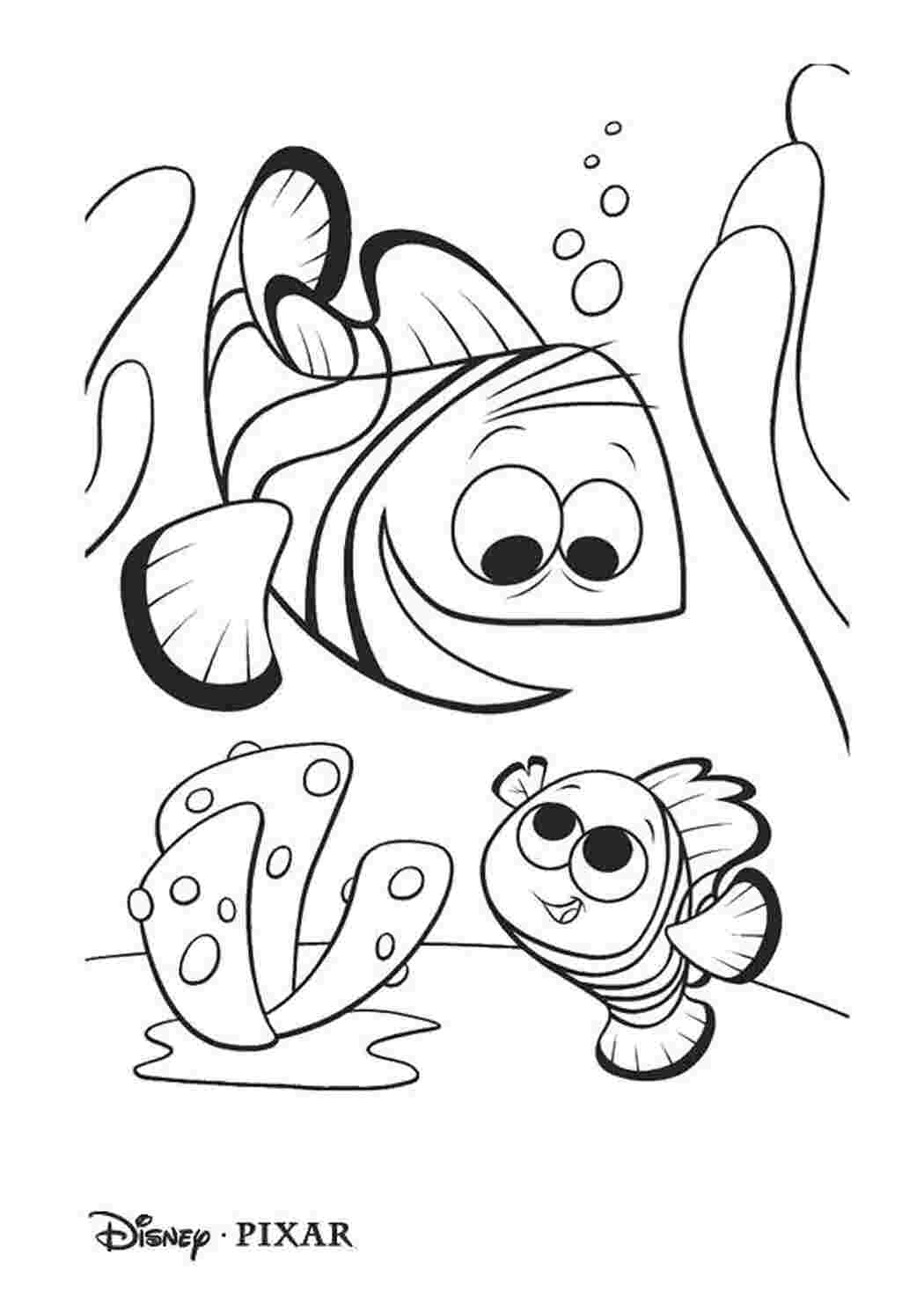 Раскраска 9.jpg