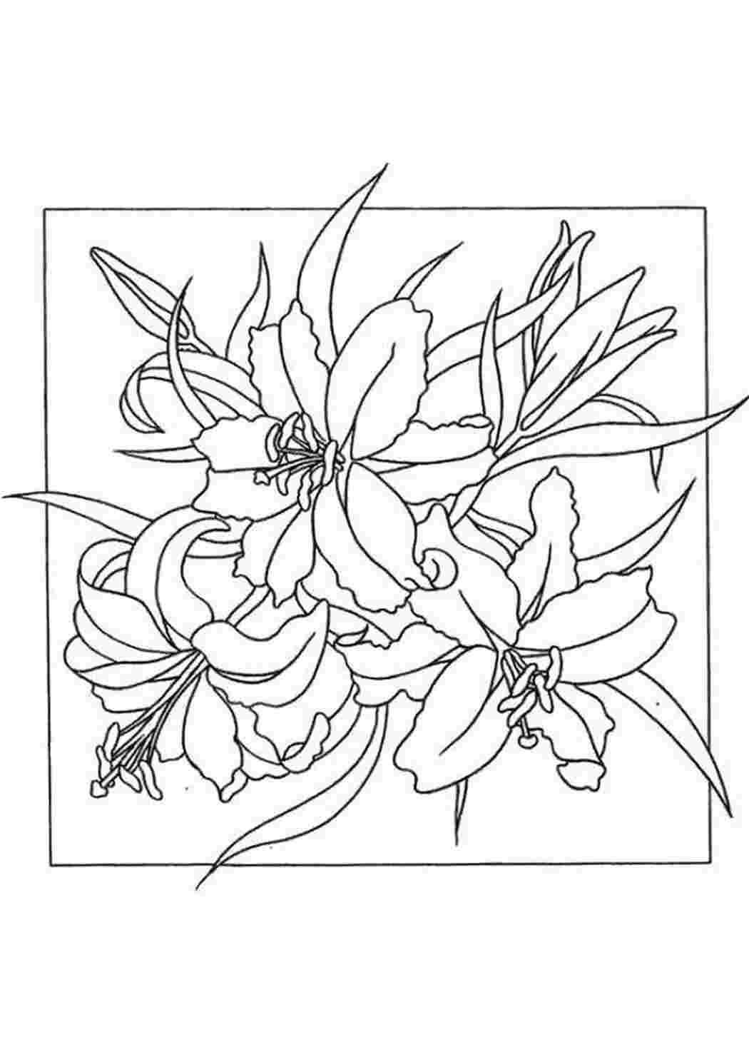Эскизы для батика цветы