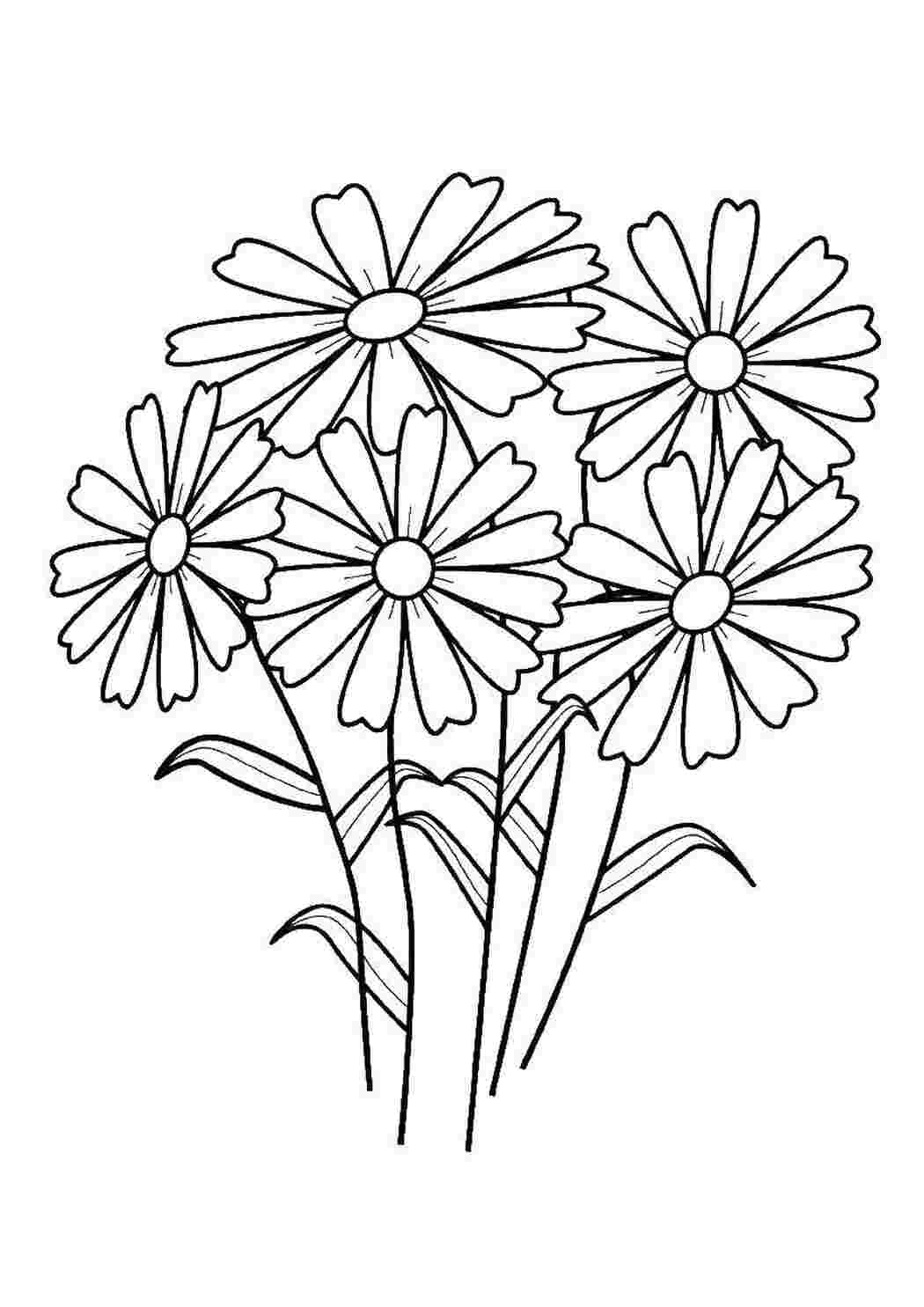Раскраска Цветы