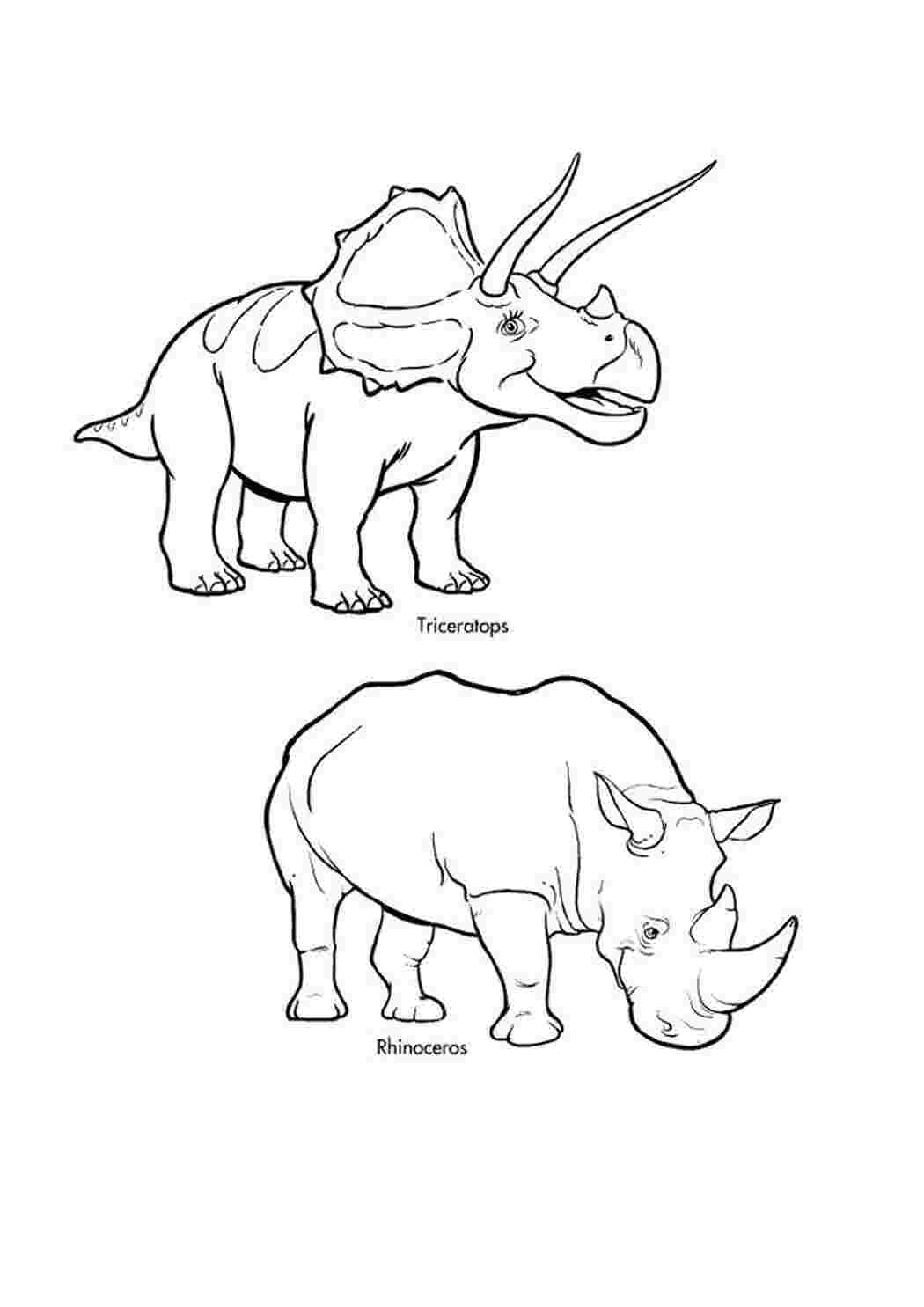 Носорог и Трицератопс