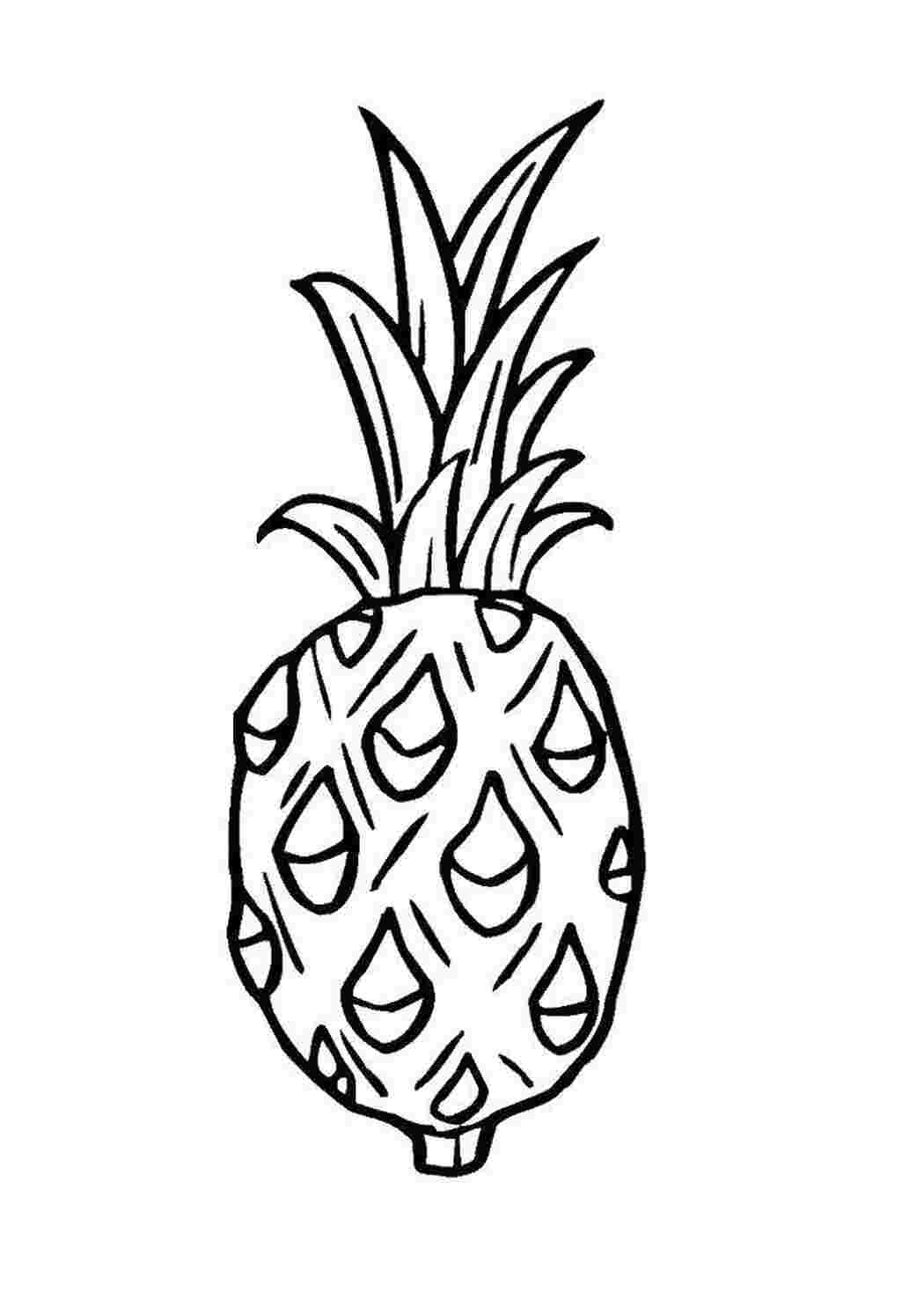 ананас контур. раскраска ананас. ананас раскраска для малышей. ананас раскраска. раскраска ананас.