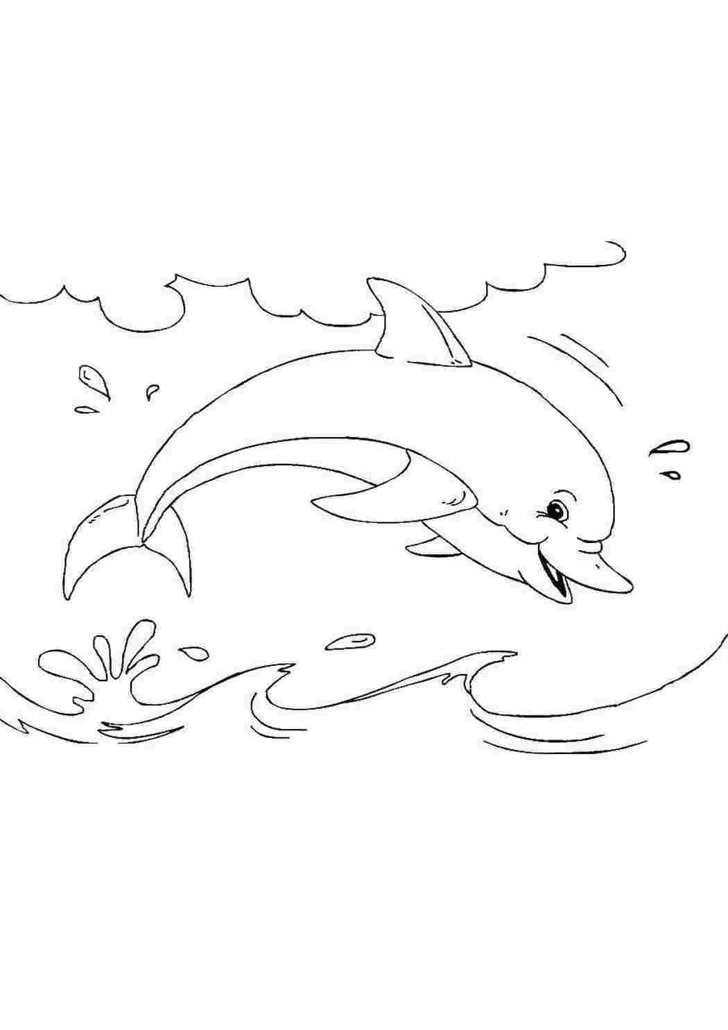 Раскраска Дельфин