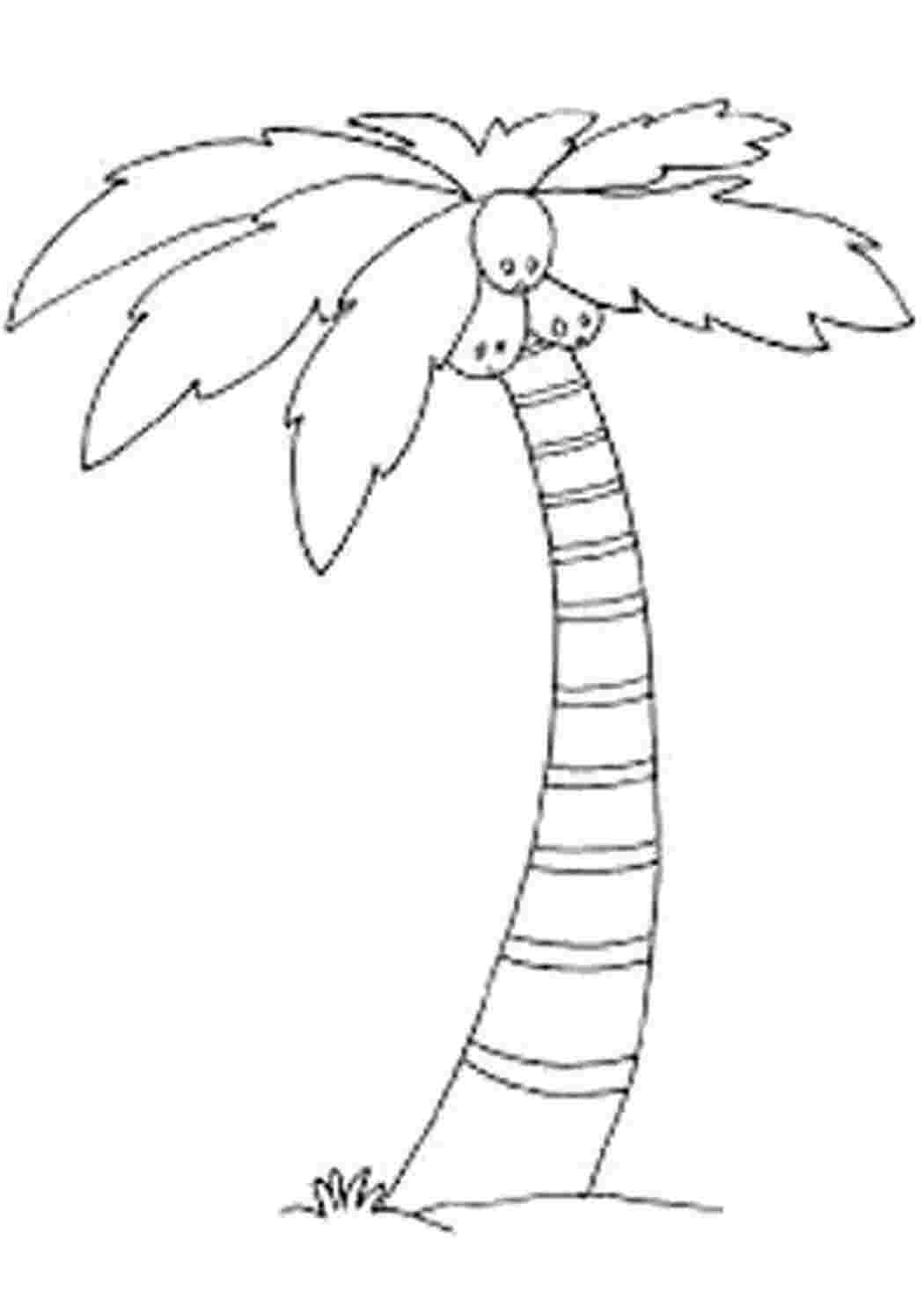 Раскраска Скачать или распечатать раскраску распечатать скачать