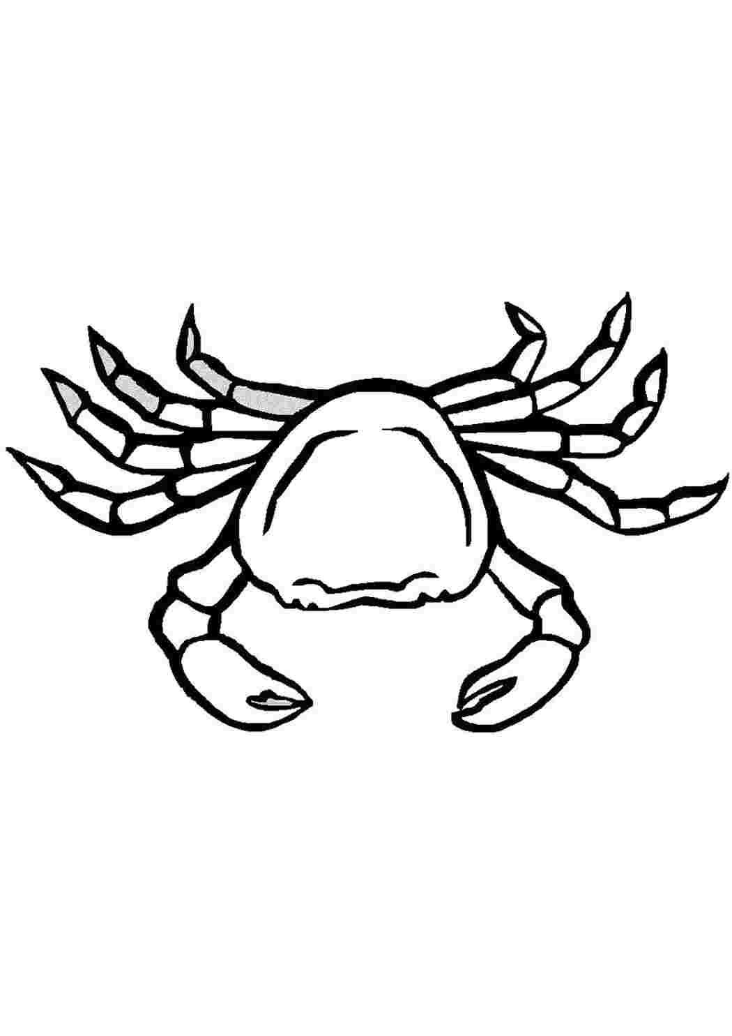 Раскраска Краб