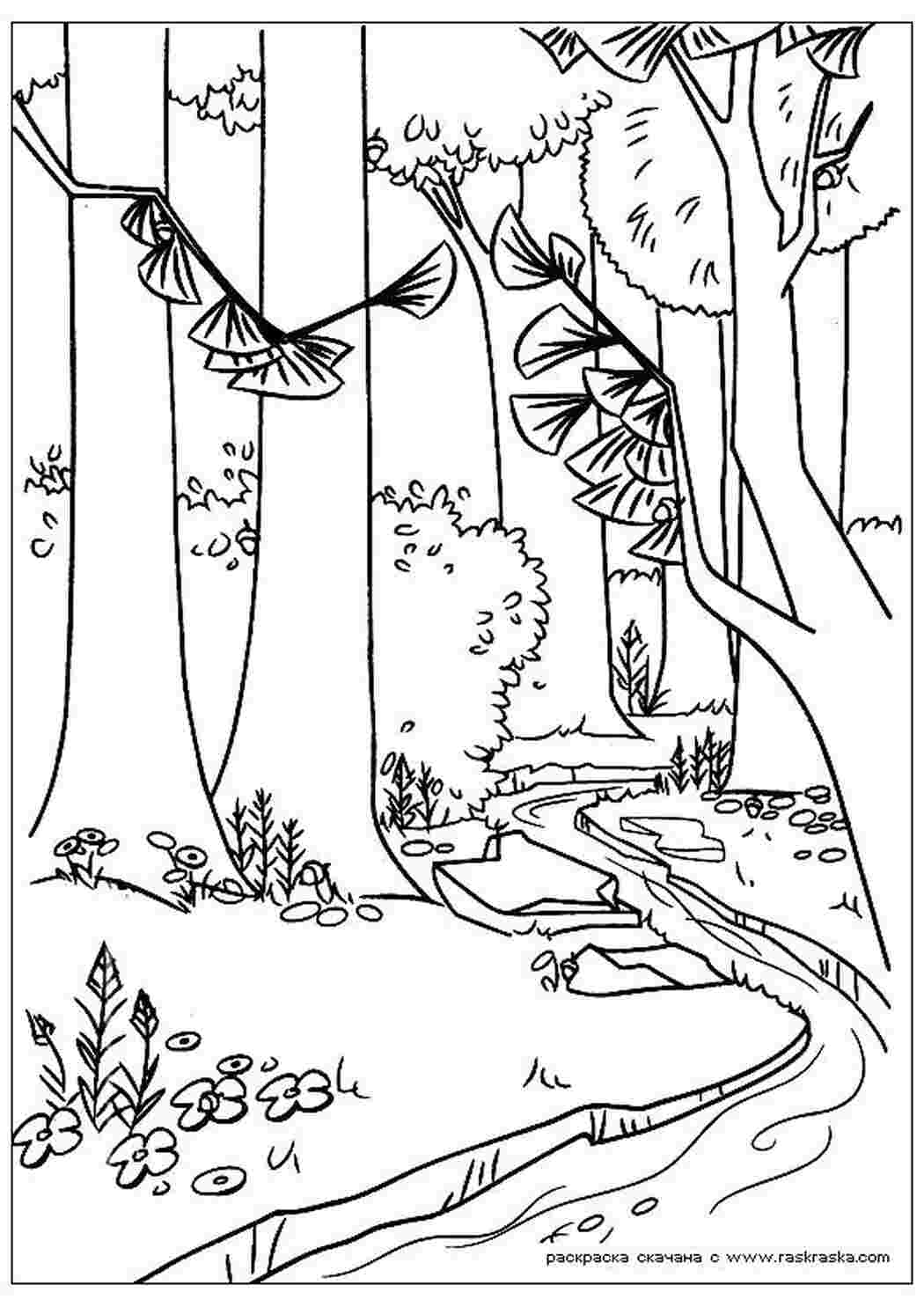 Раскраска Раскраска Лес. Раскраска Раскраска Сезон Охоты для ребенка, разукрашка из мультфильма