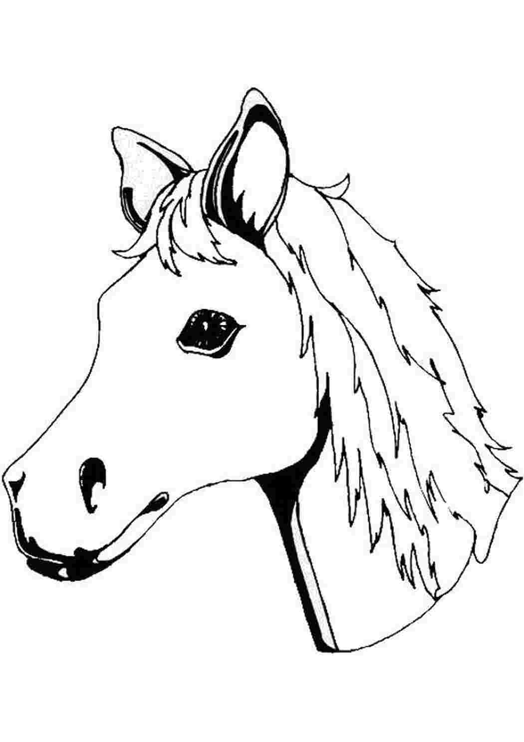 Раскраска голова лошади для детей