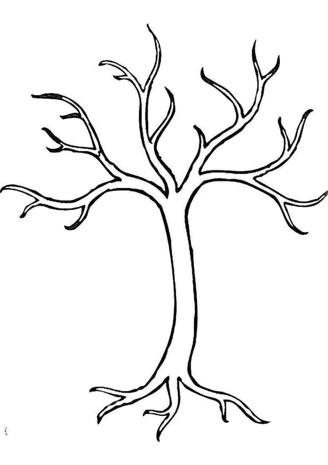 Раскраска Голое дерево