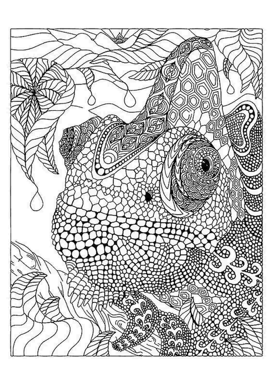 Раскраска Узоры