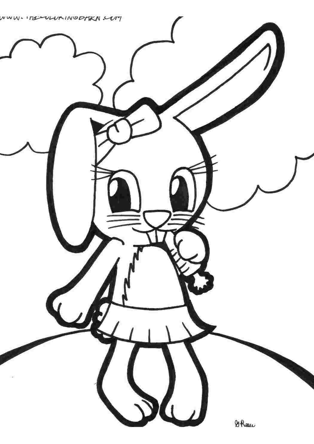 Раскраска Кролик