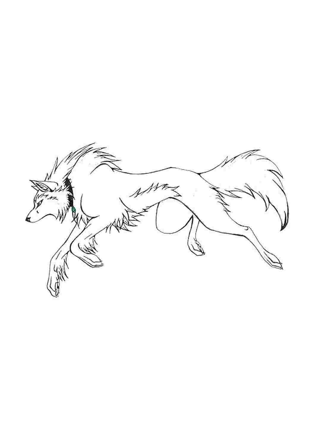 Раскраска Волк