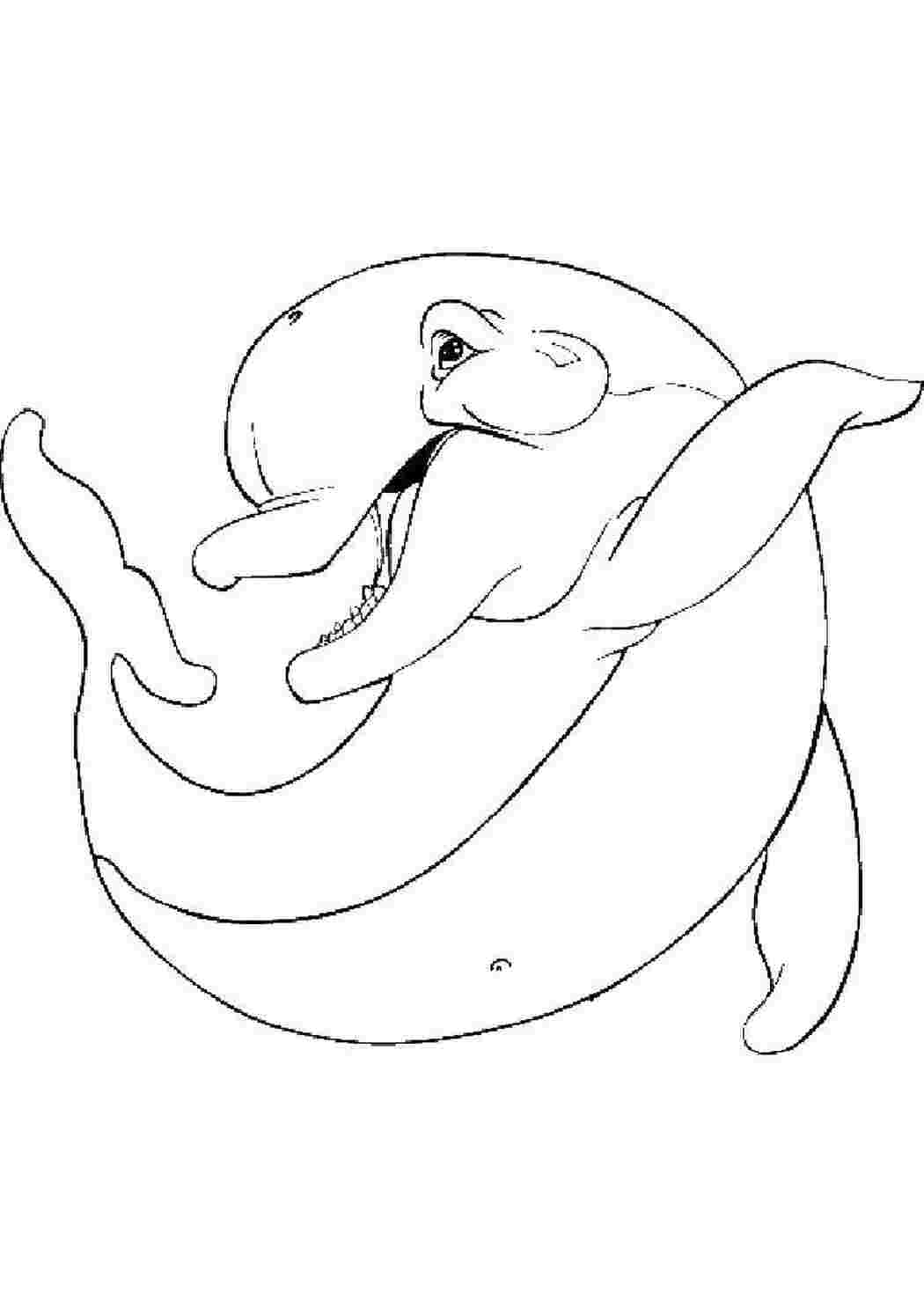Раскраска Дельфин