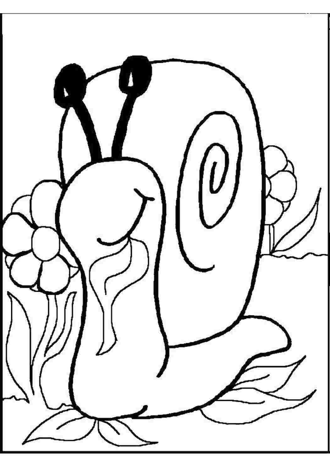 Раскраска Улитка трапезничает