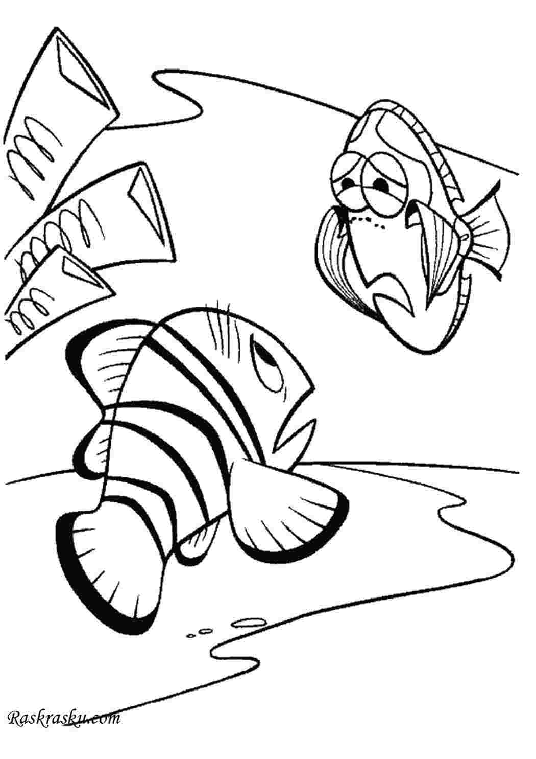 Раскраска Грустная Дорри