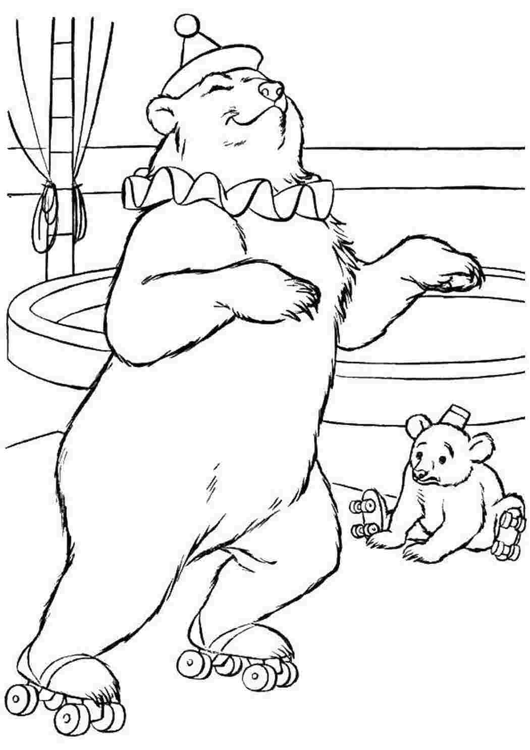 Раскраска медведь в цирке для детей