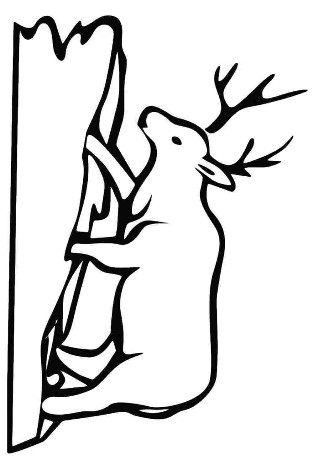 Раскраска  Нарисованный олень